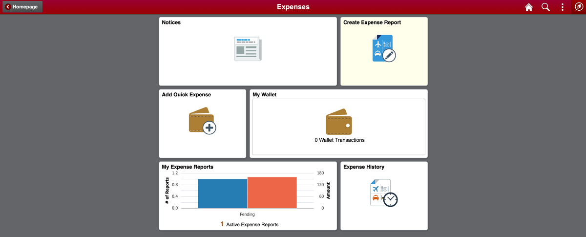 Create Expenses Report